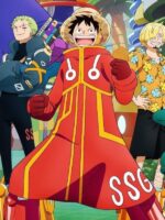 One Piece 2024 Monkey D. Luffy Red Hooded Coat