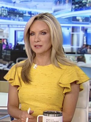 America’s Newsroom Dana Perino Yellow Ruffle Sleeve Dress