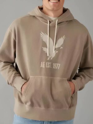 AE Heritage Graphic Pullover Hoodie