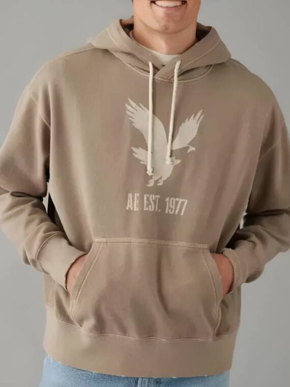 AE Heritage Graphic Pullover Hoodie