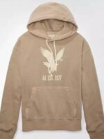 AE Heritage Graphic Pullover Hoodie