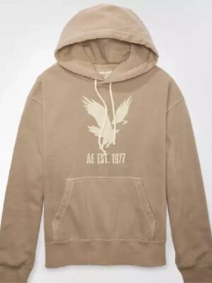 AE Heritage Graphic Pullover Hoodie - unisex