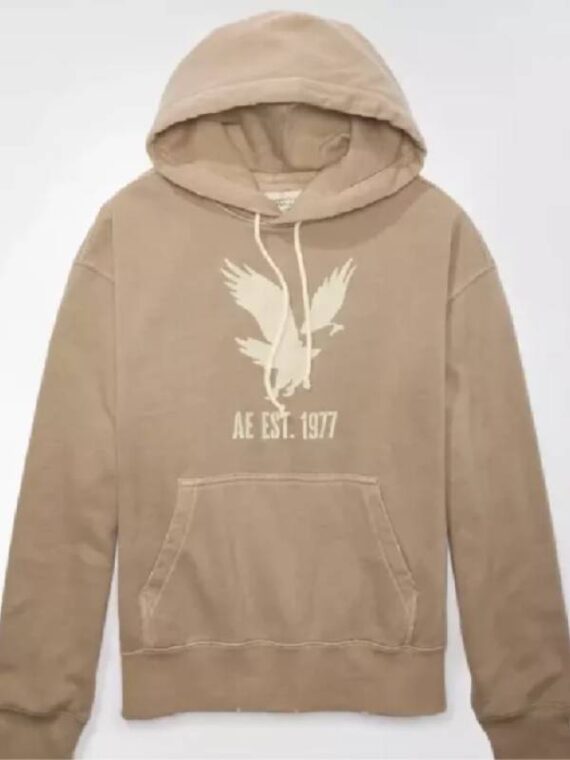 AE Heritage Graphic Pullover Hoodie