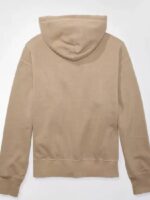 AE Heritage Graphic Pullover Hoodie
