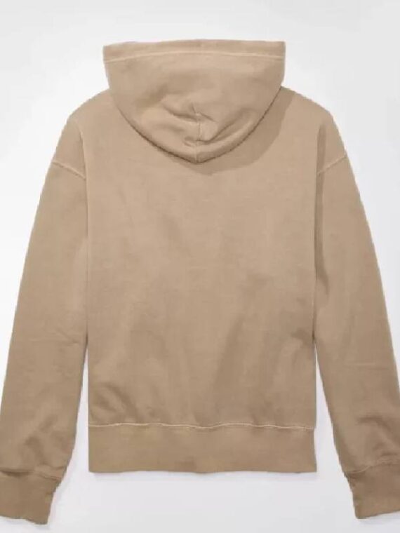 AE Heritage Graphic Pullover Hoodie